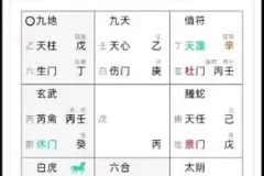 《奇门遁甲实战应用98集：从入门到精通》