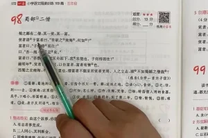 五年级阅读理解101篇精讲：涵盖文言文、现代文与名著