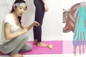 四阶段高级体态训练定制课程：全面改善体态