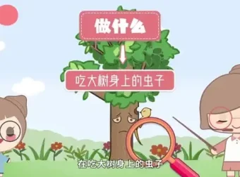 螺蛳大语文：小学作文全阶段提升课程