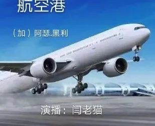 阿瑟·黑利职场小说《航空港》82集全