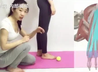 四阶段高级体态训练定制课程：全面改善体态