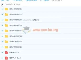 袁氏作文初中版：初中语文作文写作课程