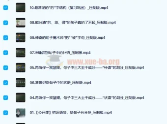 王芳“好芳法”：攻克汉语语法难关课程