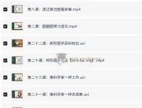 凯叔《孩子需要学会的思维导图课》