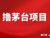 全网撸茅台渠道终极版攻略手册：保姆级教学