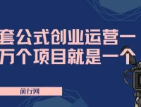 套公式创业运营：一万个项目就是一个