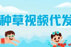 种草视频代发项目：无门槛日入300+，不看播放量与粉丝数
