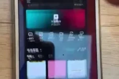 李鲆短视频带货训练营第11期：抖音快手视频号运营秘籍