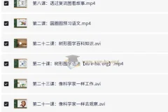 凯叔《孩子需要学会的思维导图课》