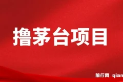 全网撸茅台渠道终极版攻略手册：保姆级教学