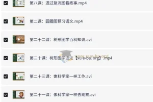 凯叔《孩子需要学会的思维导图课》