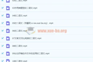段微微八年级语文暑假课程（14讲完结）