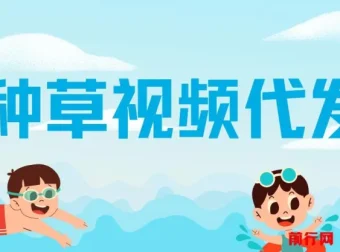 种草视频代发项目：无门槛日入300+，不看播放量与粉丝数