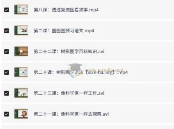 凯叔《孩子需要学会的思维导图课》