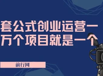套公式创业运营：一万个项目就是一个