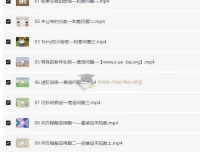 用动画片轻松学奥数：小学数学思维训练视频合集