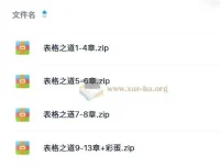 Excel表格之道专业版：系统化进阶培训视频教程