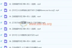 2024初二语文柳宁语文A+寒假班（春上）课程