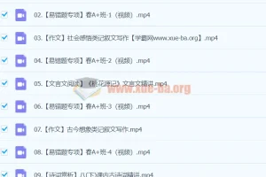 2024初二语文柳宁语文A+寒假班（春上）课程