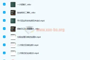 施佳辰初二数学寒假班课程