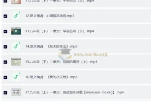 北大派派同步作文范文精读课（7-9年级）——初中生写作能力系统提升方案