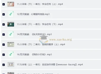 北大派派同步作文范文精读课（7-9年级）——初中生写作能力系统提升方案