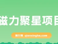 磁力聚星无人直播项目：24小时自动挂机，4个月变现122w，支持矩阵操作