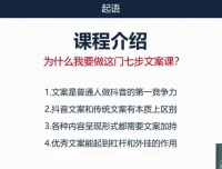 三把刀七步文案课：系统掌握高转化文案写作方法