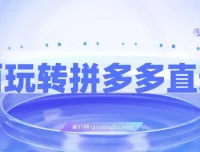 拼多多直通车全攻略：新老店铺通用实战玩法