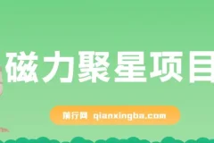 磁力聚星无人直播项目：24小时自动挂机，4个月变现122w，支持矩阵操作