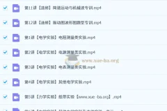 林婉晴高三物理二轮寒假班：电学实验与选修专题精讲
