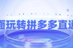 拼多多直通车全攻略：新老店铺通用实战玩法