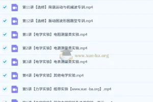 林婉晴高三物理二轮寒假班：电学实验与选修专题精讲
