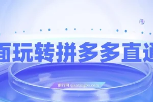 拼多多直通车全攻略：新老店铺通用实战玩法