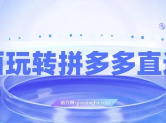 拼多多直通车全攻略：新老店铺通用实战玩法
