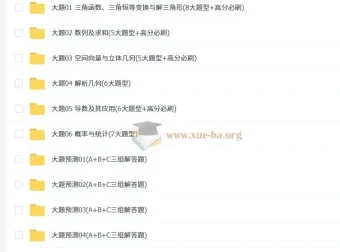 冲刺2025新高考数学大题突破与限时集训精讲资料