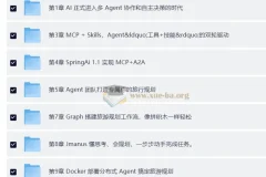 多Agent+Skills+SpringAI构建自主决策智能体实战教程（前11章）