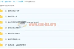 姜岩日语零基础到N2系统视频教程