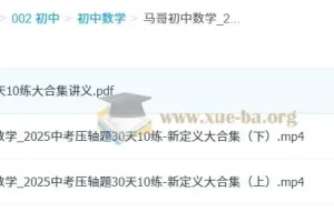 2025中考数学压轴题冲刺：30天10练新定义大合集
