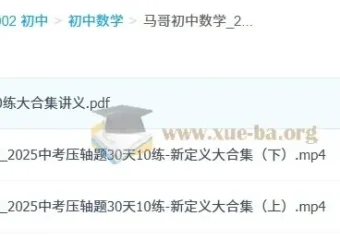 2025中考数学压轴题冲刺：30天10练新定义大合集