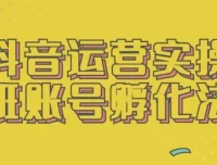抖音运营实操班：账号孵化全流程实战指南