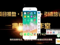 小红书无货源电商项目实战教程第8期
