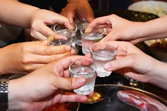 酒桌交际实战指南：《酒饮真经》助你从容应对各类酒局