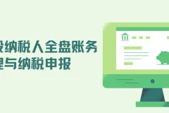 一般纳税人全盘账务处理与纳税申报实战教程