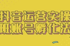 抖音运营实操班：账号孵化全流程实战指南
