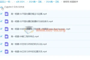 2024高中数学 杨震 高一寒假班 系统课程