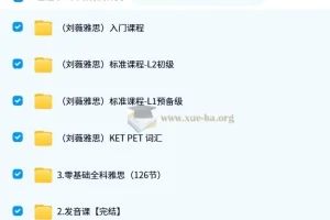 刘薇雅思全阶段备考课程合集
