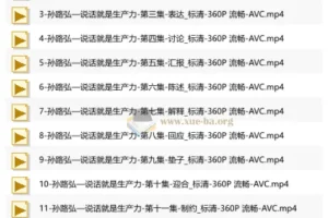 21天口才训练系统方法，孙路弘亲授说话生产力课程