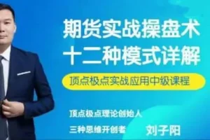 刘子阳期货实战操盘术：顶点极点十二种模式中级应用课程